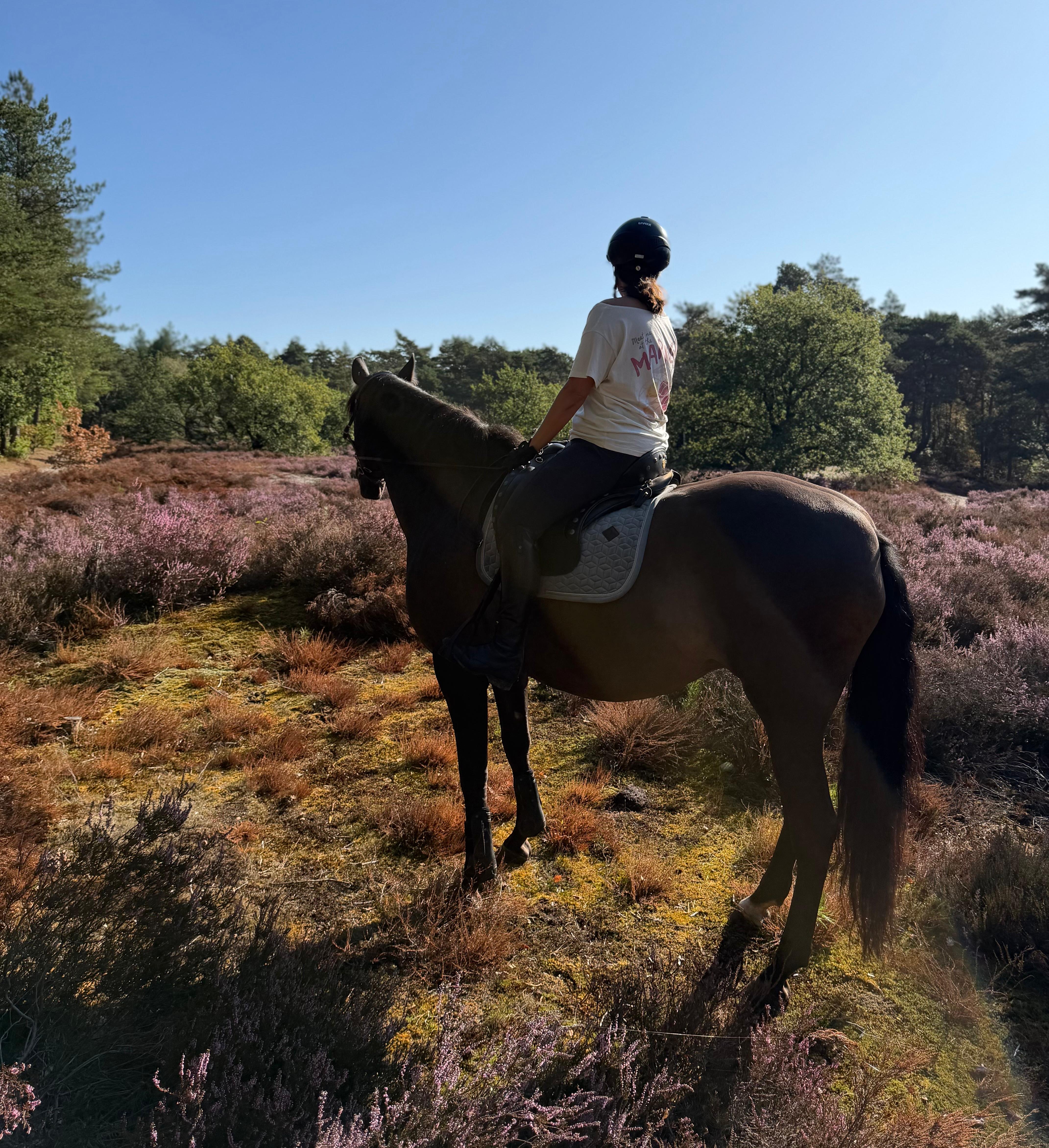 Kim te paard in de natuur