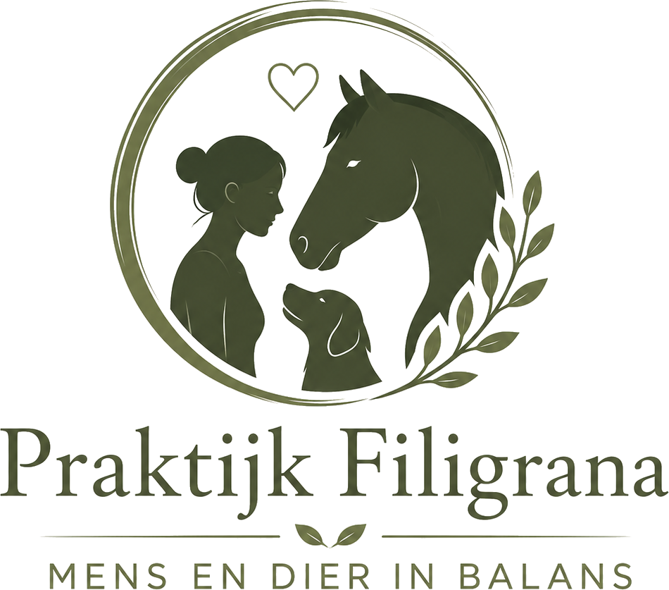 Praktijk Filigrana